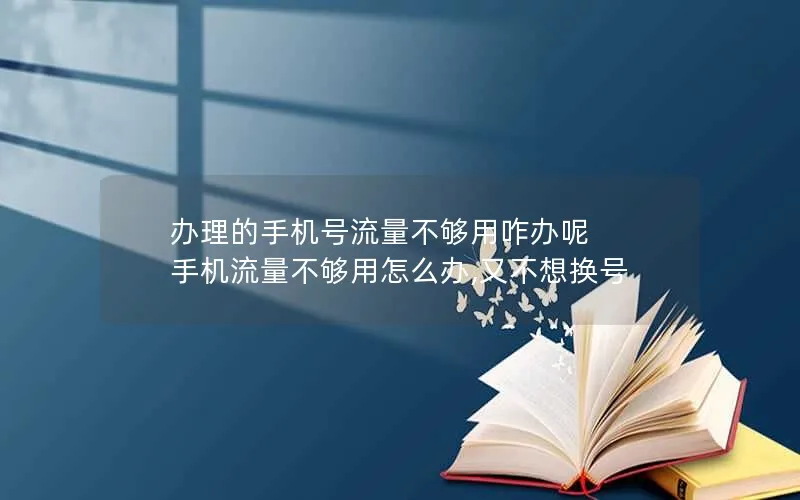 办理的手机号流量不够用咋办呢 手机流量不够用怎么办,又不想换号