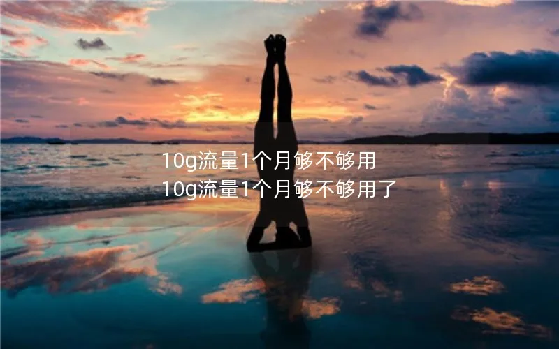 10g流量1个月够不够用 10g流量1个月够不够用了