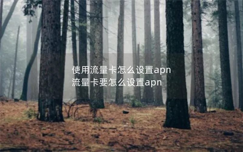 使用流量卡怎么设置apn 流量卡要怎么设置apn