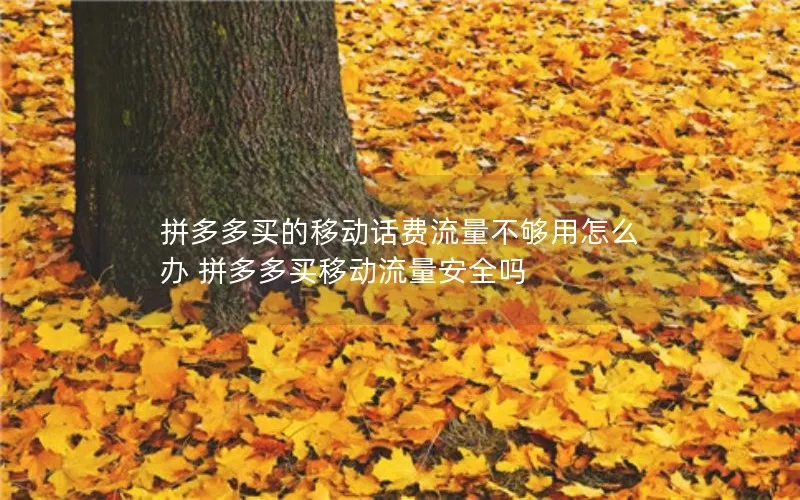 拼多多买的移动话费流量不够用怎么办 拼多多买移动流量安全吗