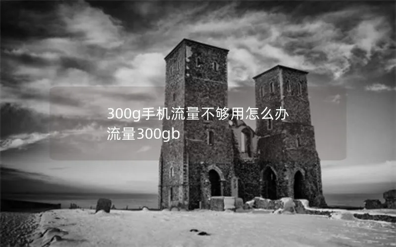 300g手机流量不够用怎么办 流量300gb