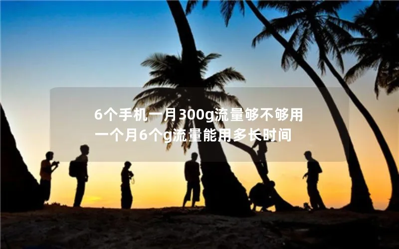 6个手机一月300g流量够不够用 一个月6个g流量能用多长时间