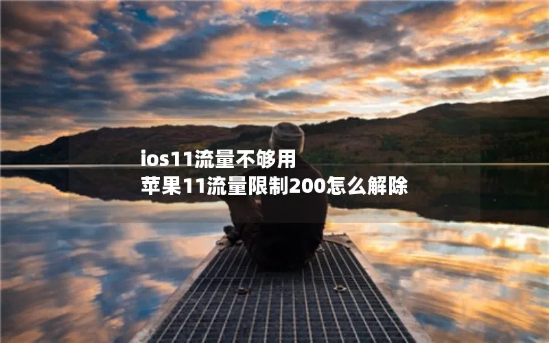 ios11流量不够用 苹果11流量限制200怎么解除