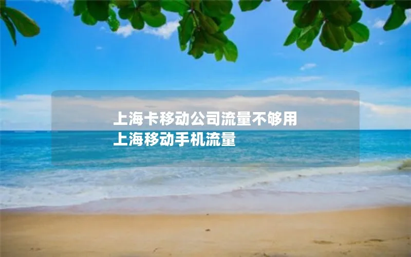 上海卡移动公司流量不够用 上海移动手机流量