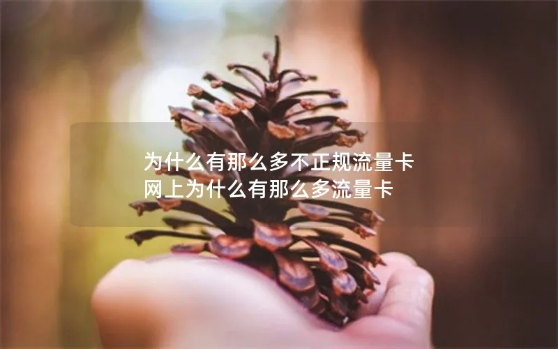 为什么有那么多不正规流量卡 网上为什么有那么多流量卡