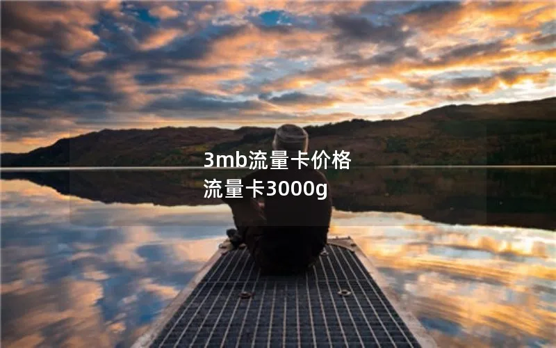 3mb流量卡价格 流量卡3000g