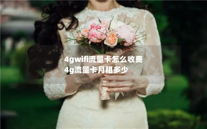 4gwifi流量卡怎么收费 4g流量卡月租多少