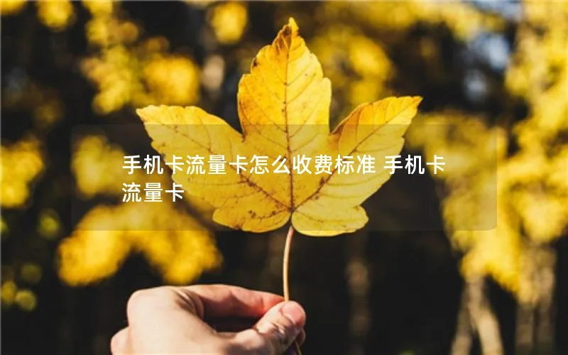 手机卡流量卡怎么收费标准 手机卡 流量卡