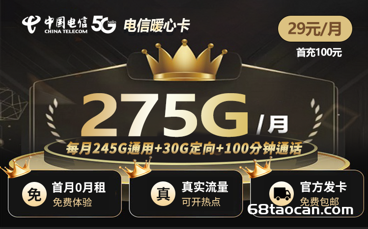 电信暖心卡29元245G通用+30G定向+100分钟通话（电信流量卡申请办理入口）